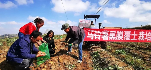 博鱼半岛在线登录