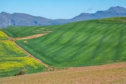 博鱼半岛在线登录