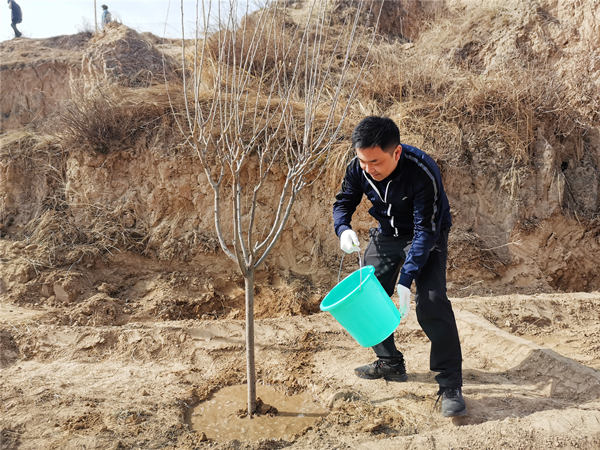 博鱼半岛在线登录