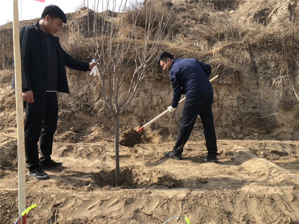 博鱼半岛在线登录