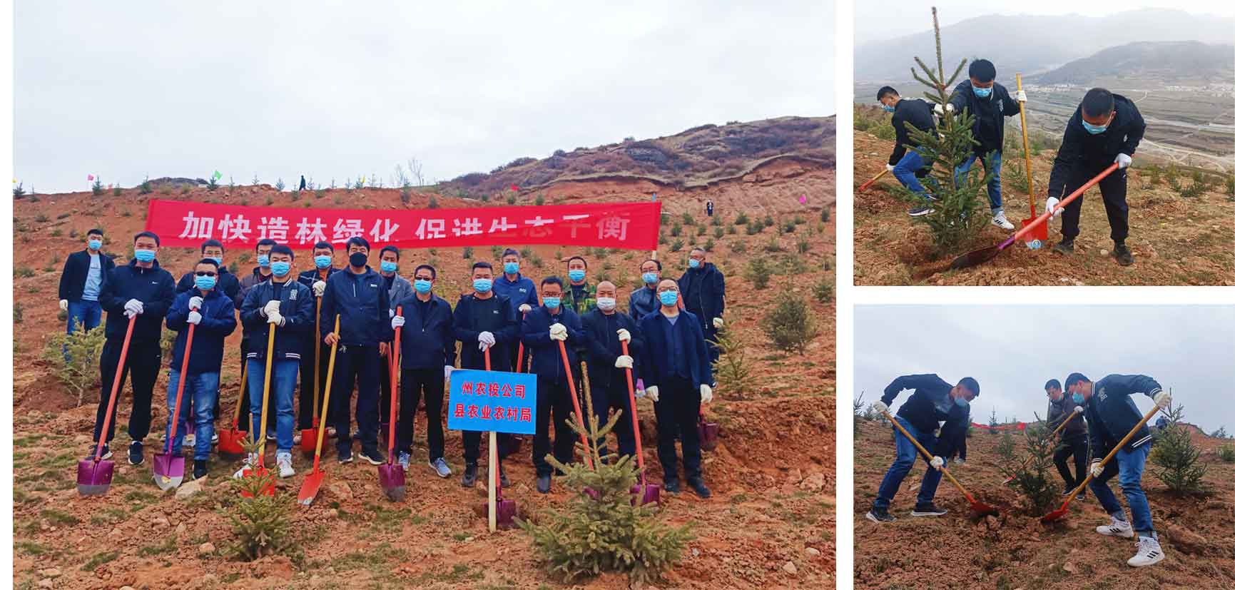 博鱼半岛在线登录