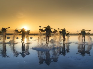 博鱼半岛在线登录