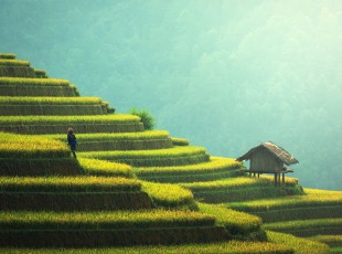 博鱼半岛在线登录