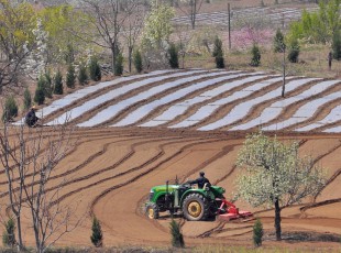 博鱼半岛在线登录